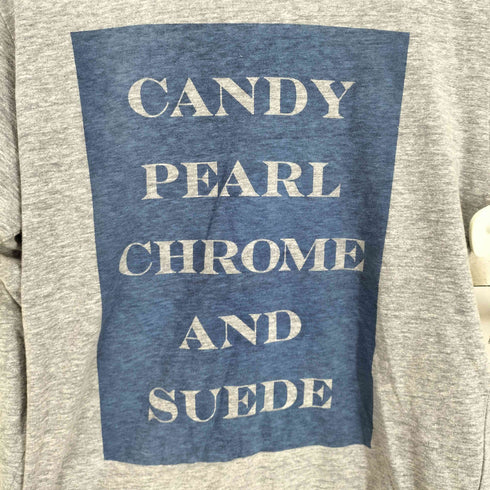 ラディアル RADIALL 18SS CANDY PEARL CHROME AND SUEDE プリントL/S Tシャツ メンズ  S